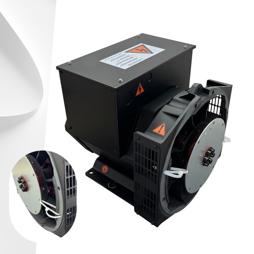 5kw brushless excitation - excitation, ac